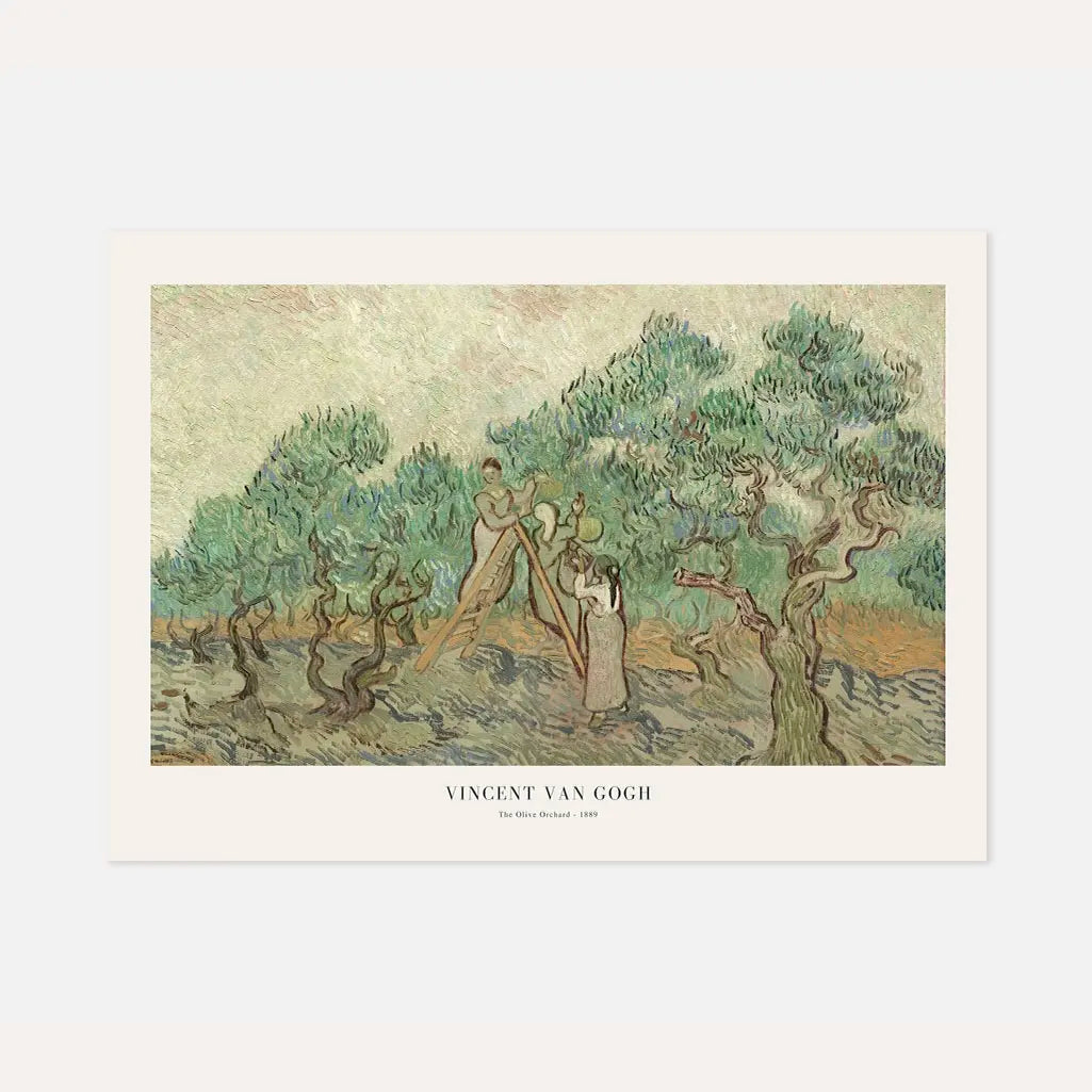 Vincent van Gogh Poster – Olivenhain, 1889 (Querformat)