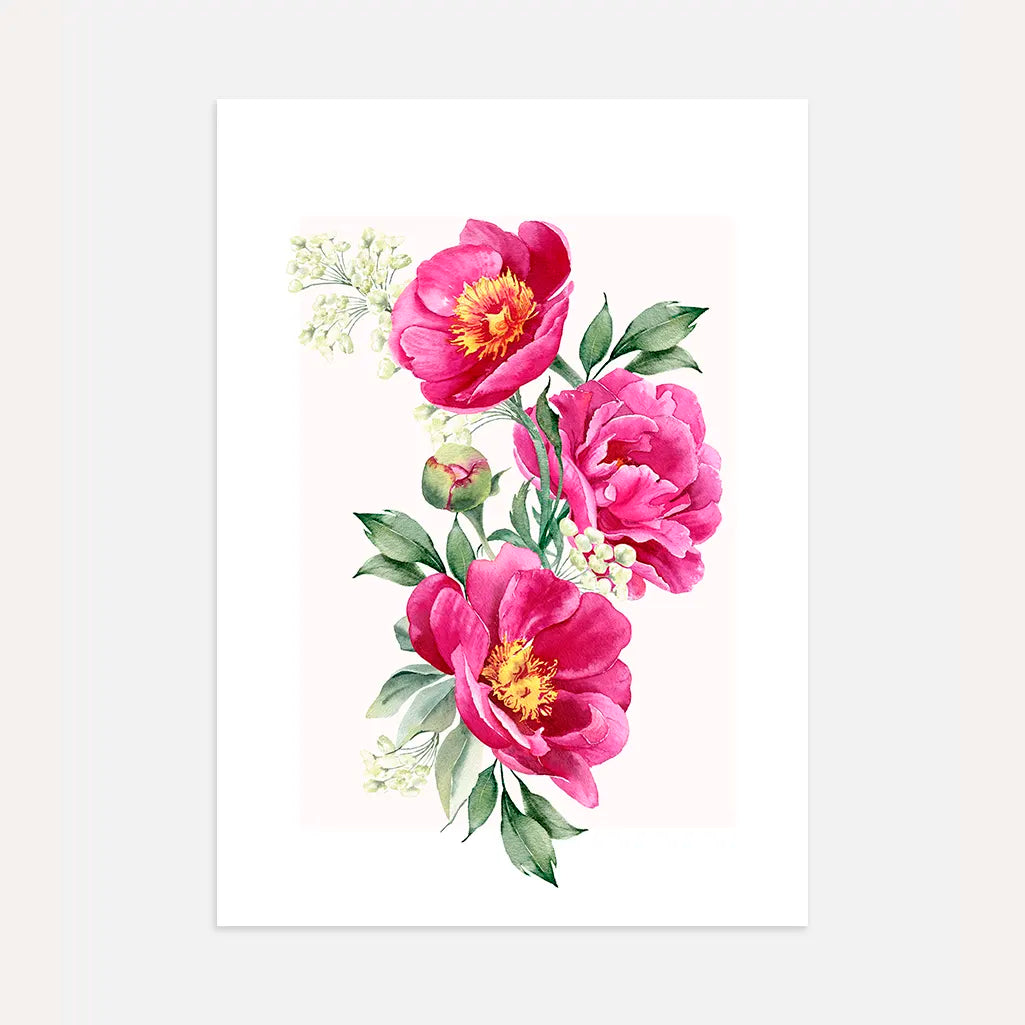 Aquarellposter mit rosa Pfingstrosen