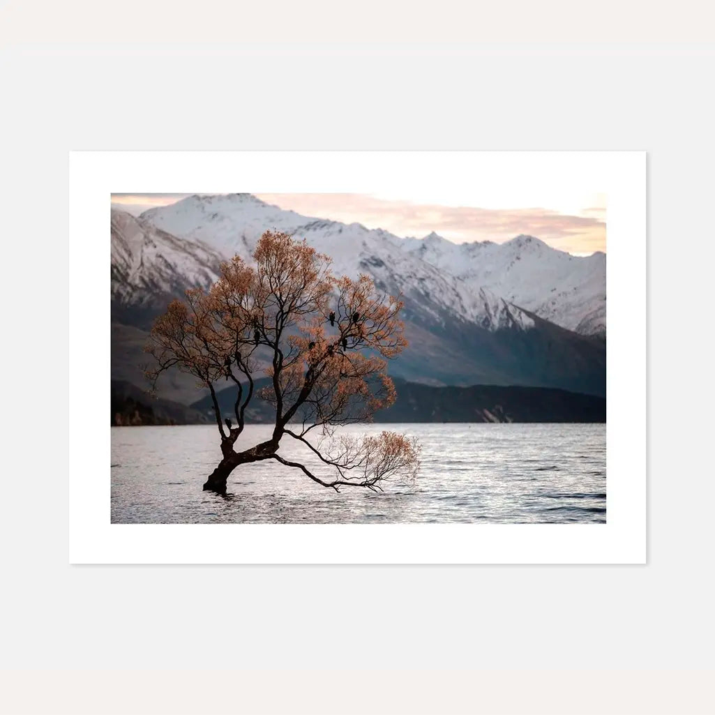 Poster „Baum im See“