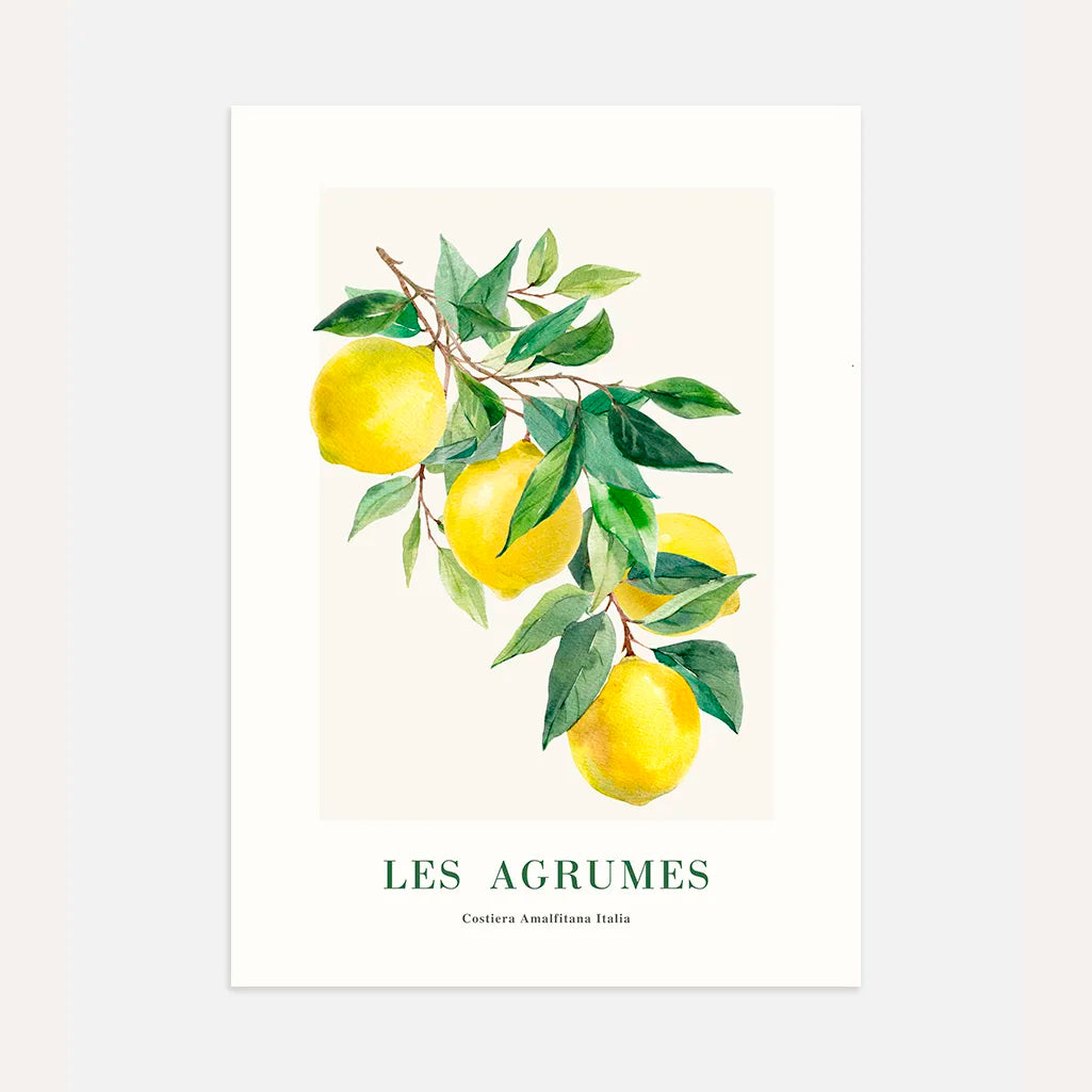 Les Agrumes Amalfi Zitronen Poster