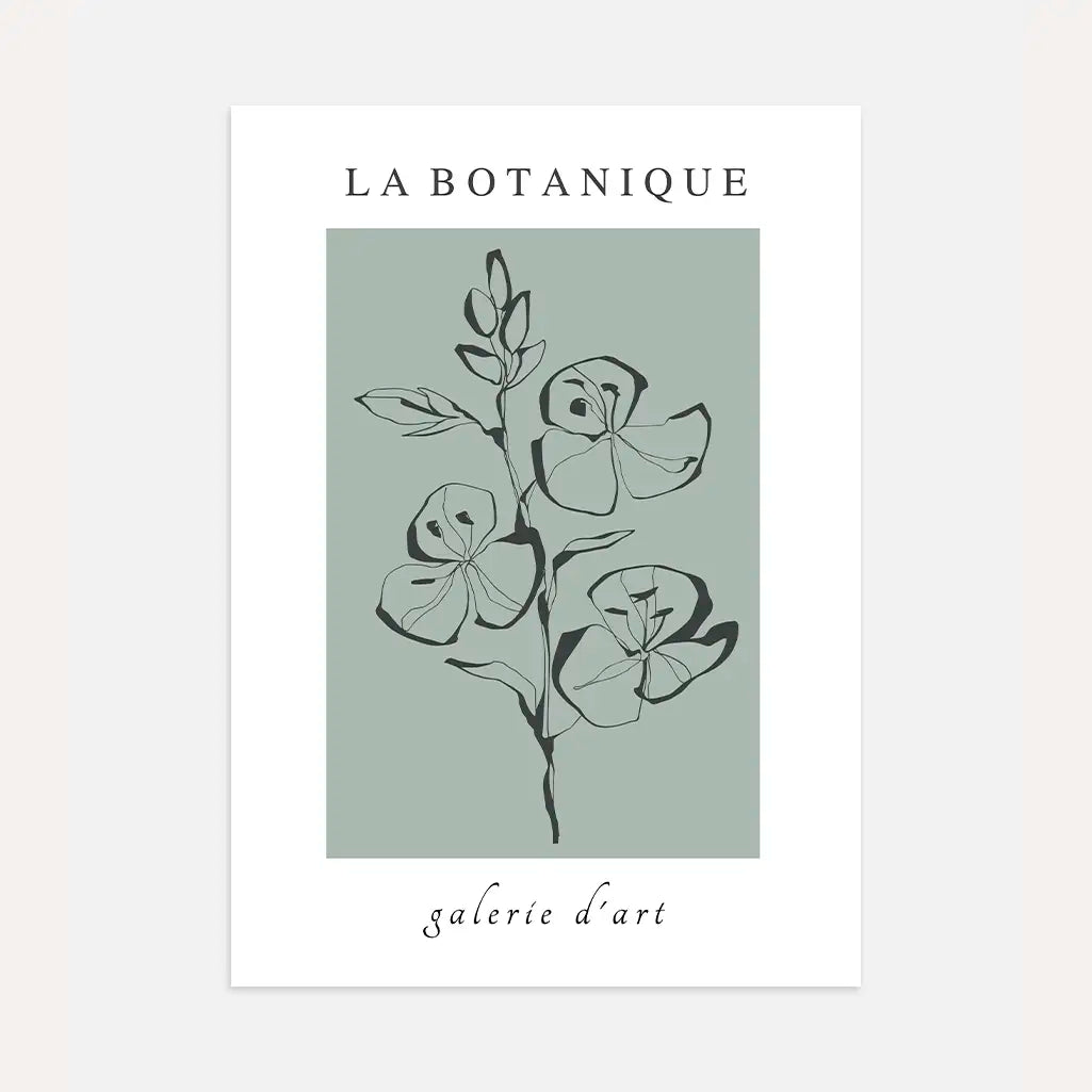 Linienzeichnung Pflanzenkomposition