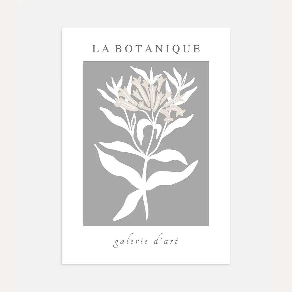 Botanique Grey Bloom Poster