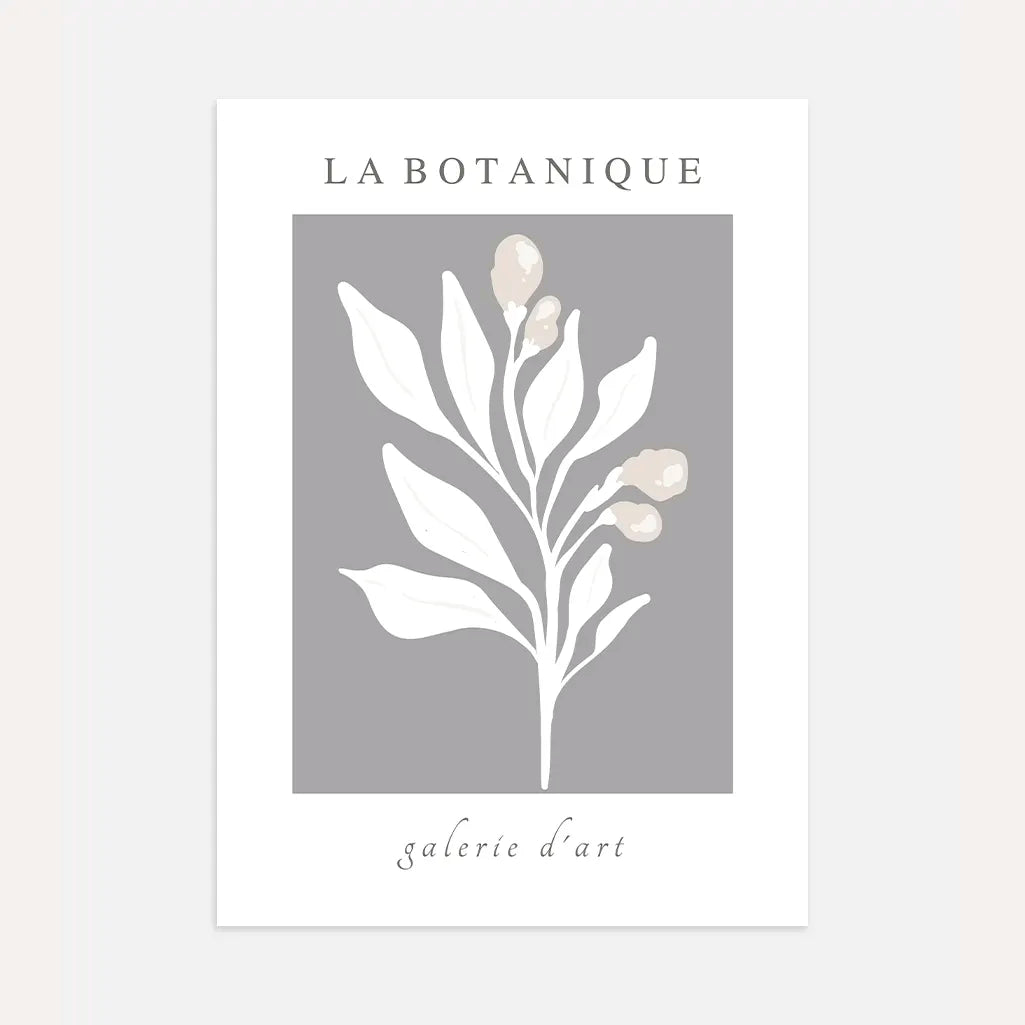 Graphite Botanique Pflanzenposter