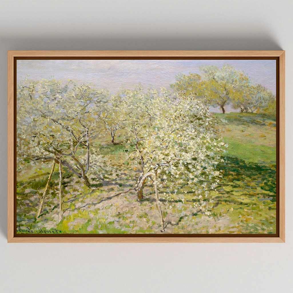 Gerahmtes Leinwandbild - Frühling Obstbäume in Blüte