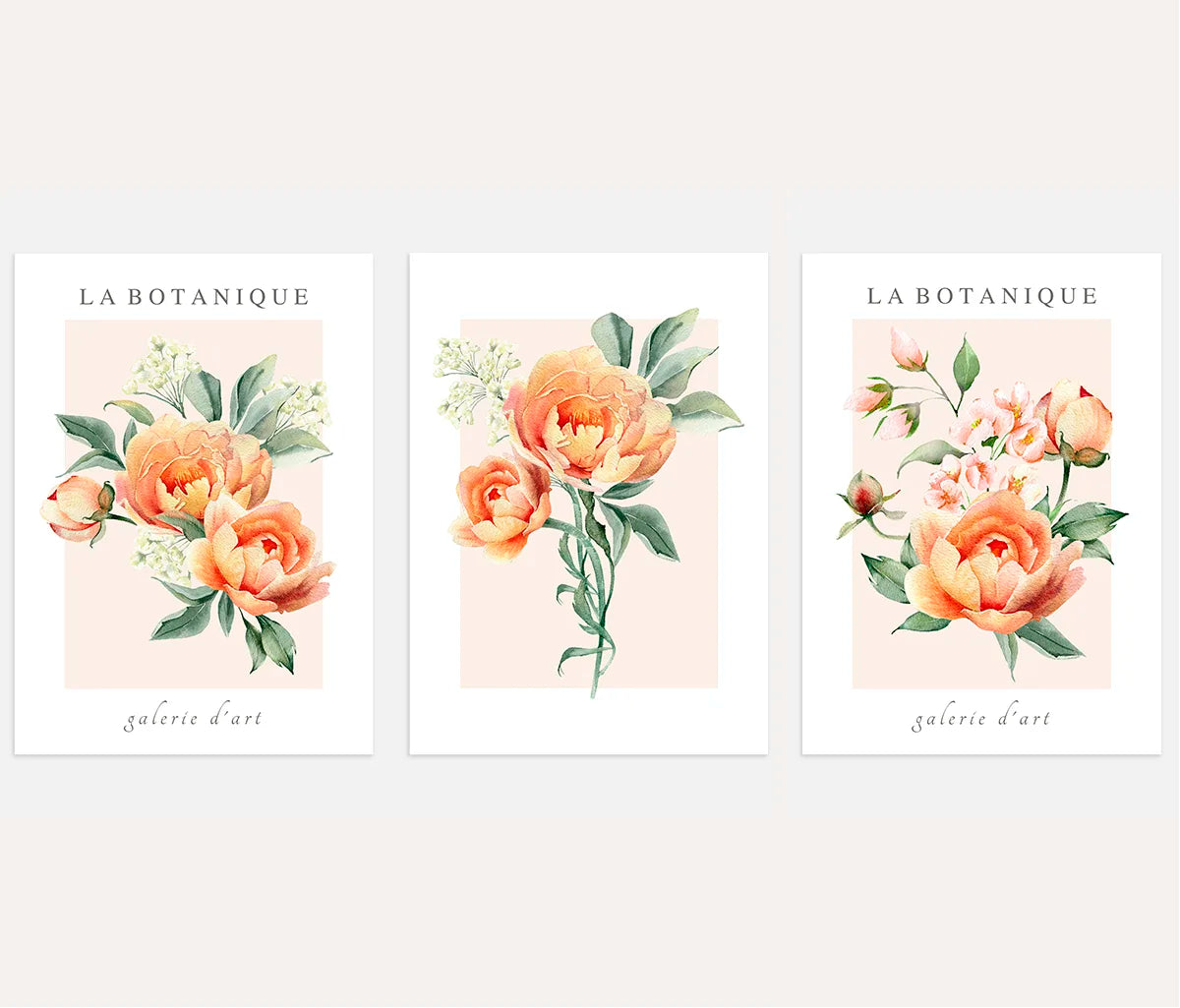 Pfirsichfarbene Blumen Aquarell – Poster Set (3er)