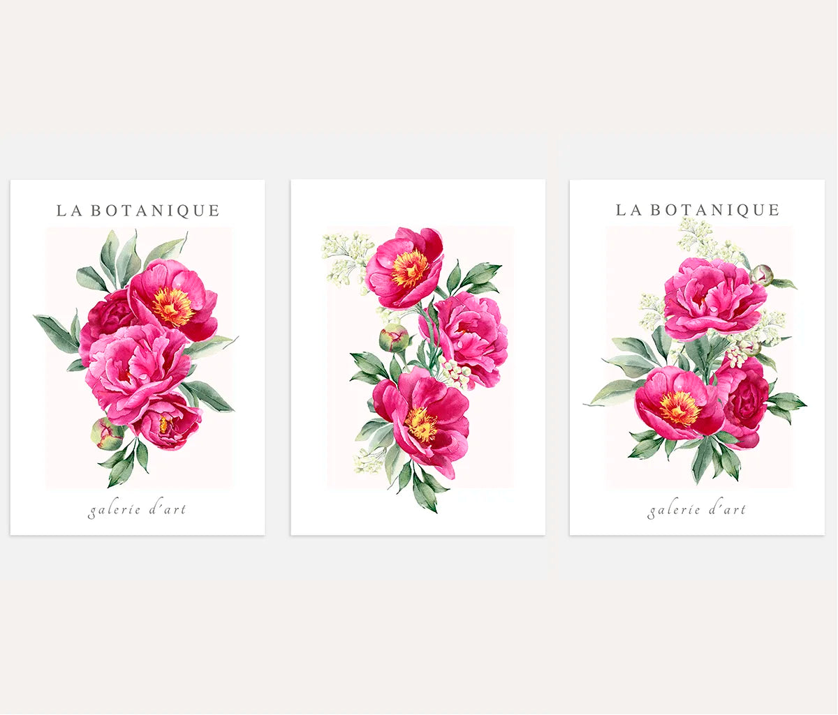 Rosa Pfingstrosen Aquarell – Poster Set (3er)