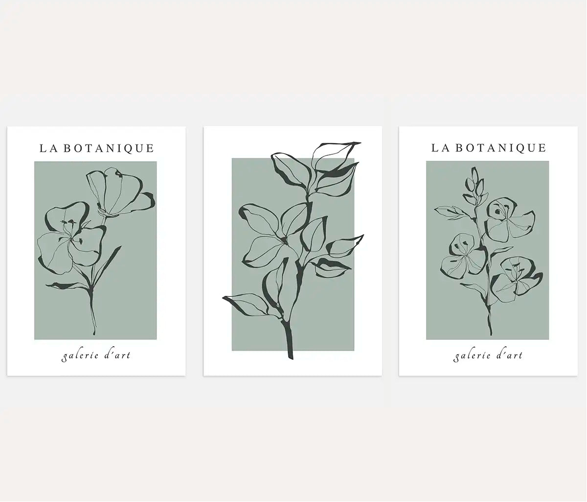 Salbeigrüne Botanical Line Art – Poster Set (3er)