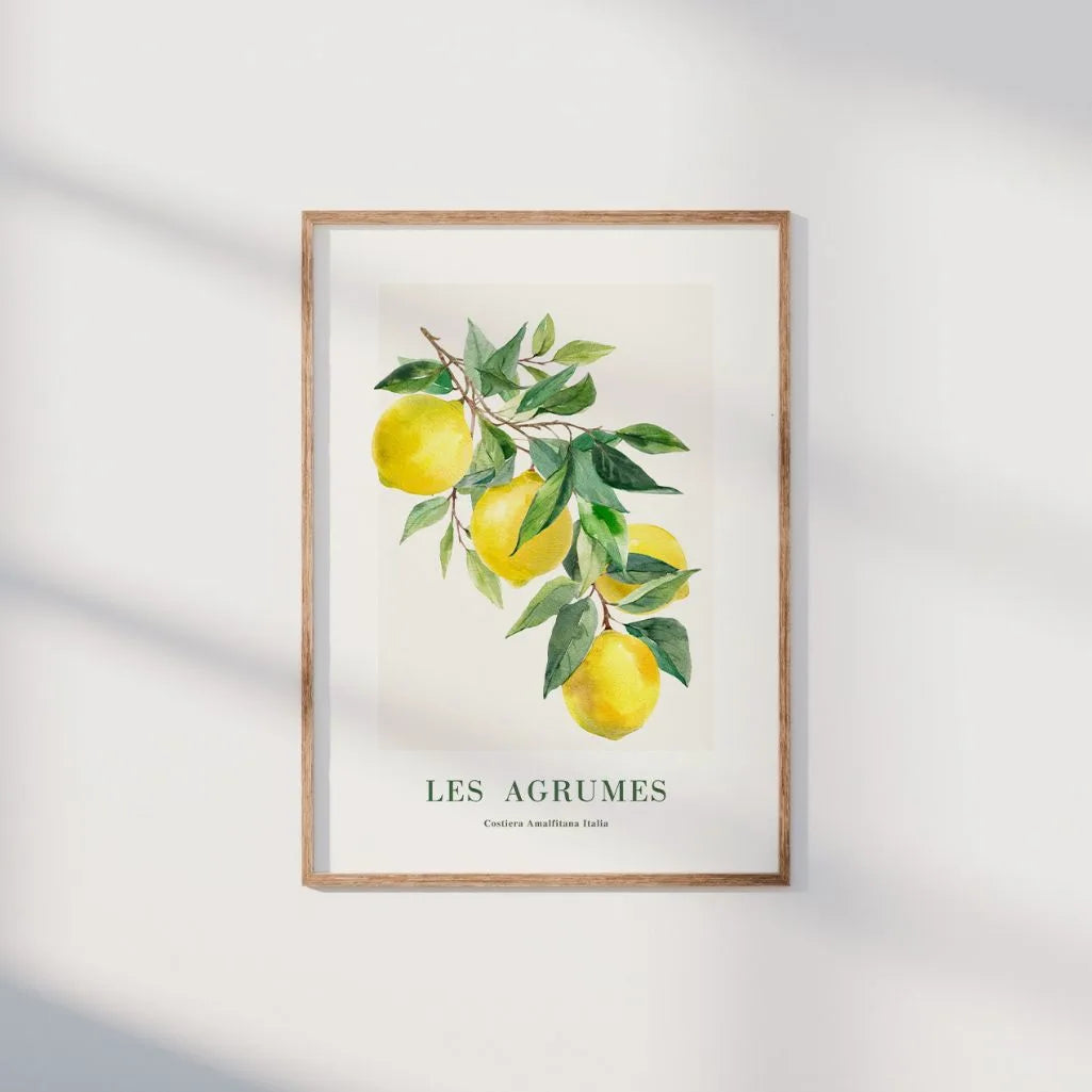 Les Agrumes Amalfi Zitronen Poster