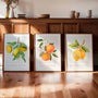 amalfi coast citrus poster set wall art for living room bright mediterranean decor