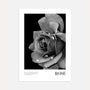 black white rose poster wall art