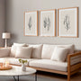 botanical feather line art poster set of 3 black on beige natural wall decor