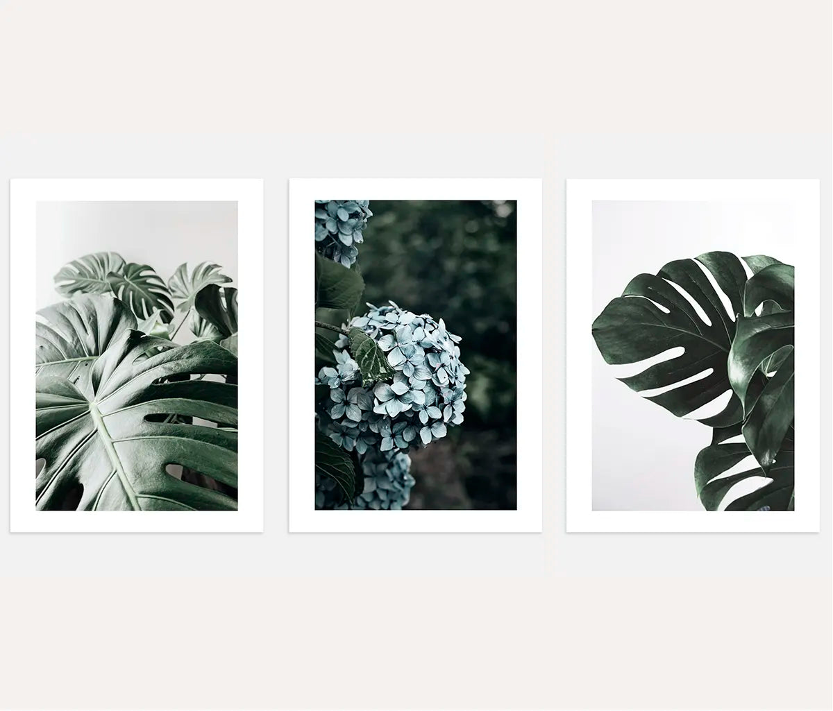 Botanical photography poster set of 3 with monstera leaves and green minimal wall art