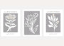 white botanical poster set on grey background wall art for living room decor