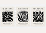Henri Matisse black botanical leaves poster set of 3 in high contrast black and beige wall art