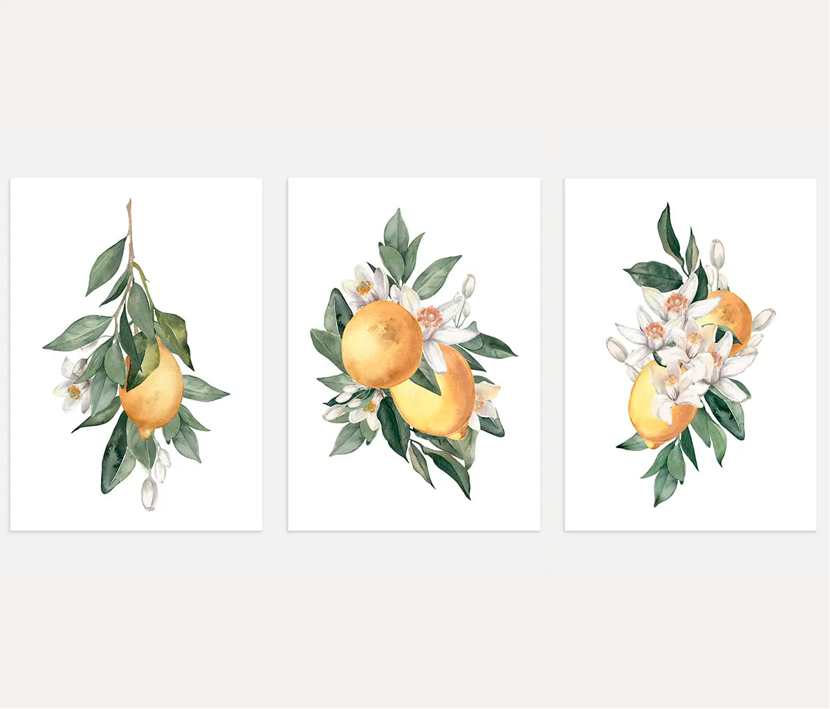 yellow lemon branch botanical poster set wall art for living room decor