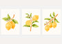 yellow lemon composition poster set wall art for kitchen decor