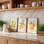 yellow green lemon flower poster set wall art for gallery wall decor