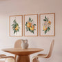 yellow lemon flower watercolor poster set wall art for bedroom decor
