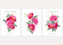 pink peony poster set wall art for bedroom decor