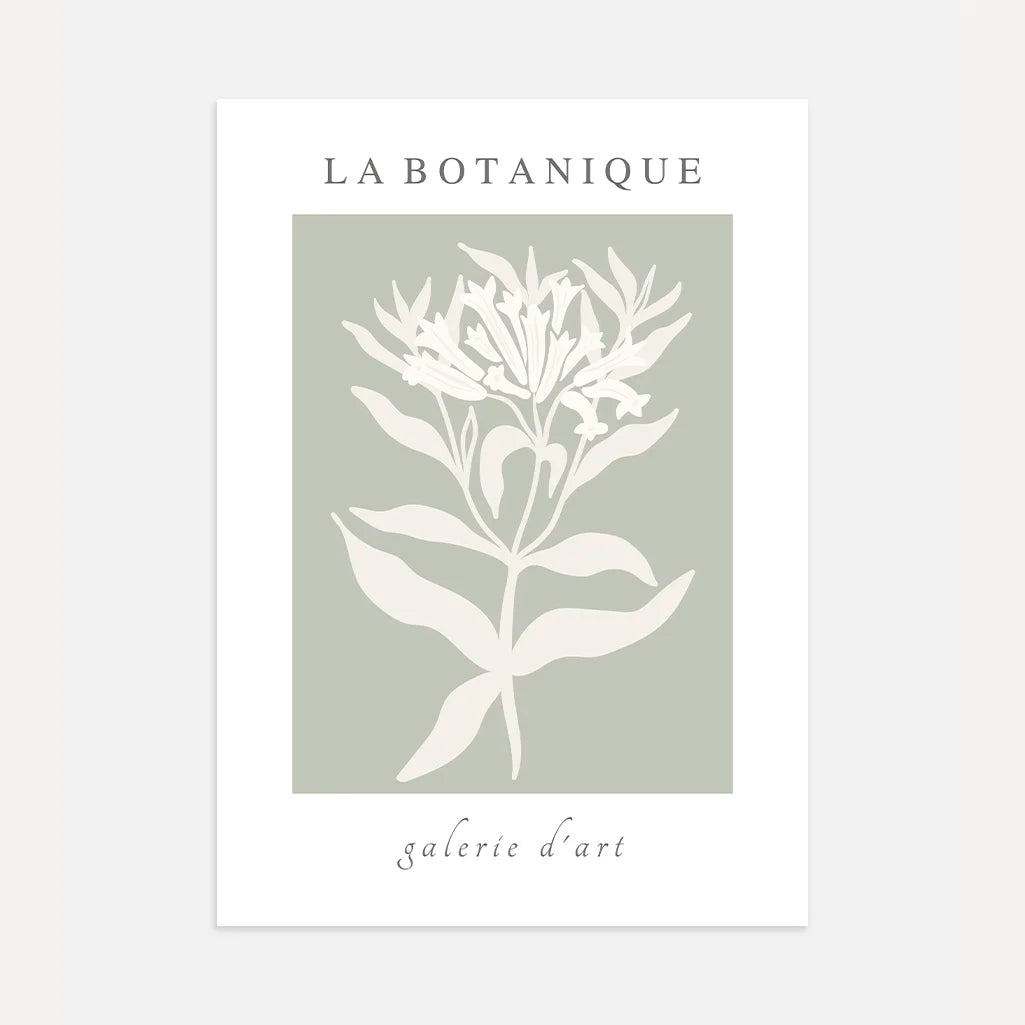 sage botanical plant poster green minimalist modern wall art