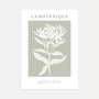 sage botanical plant poster green minimalist modern wall art