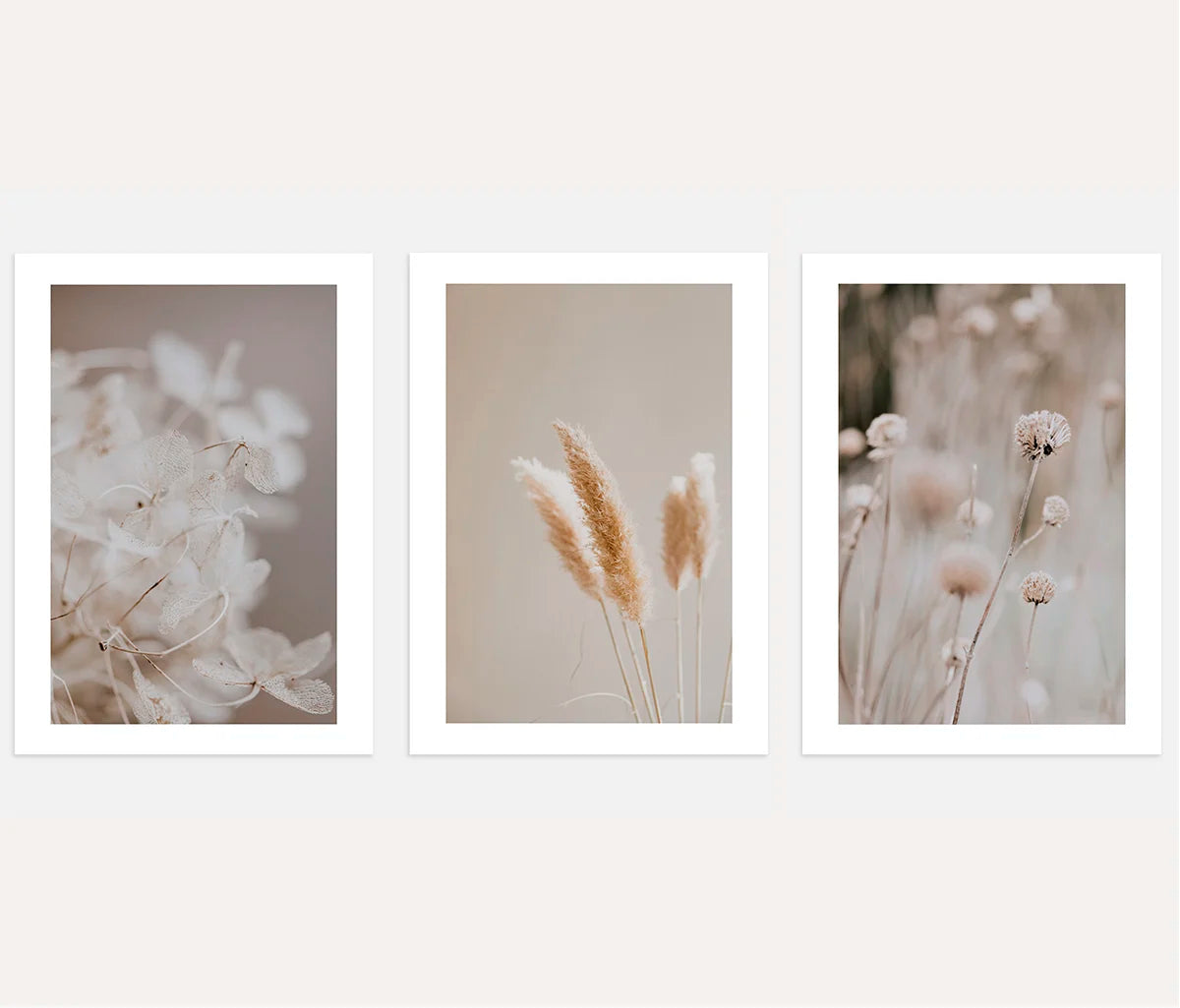 Soft beige botanical poster set of 3 minimalist nature wall art