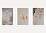 Soft beige botanical poster set of 3 minimalist nature wall art