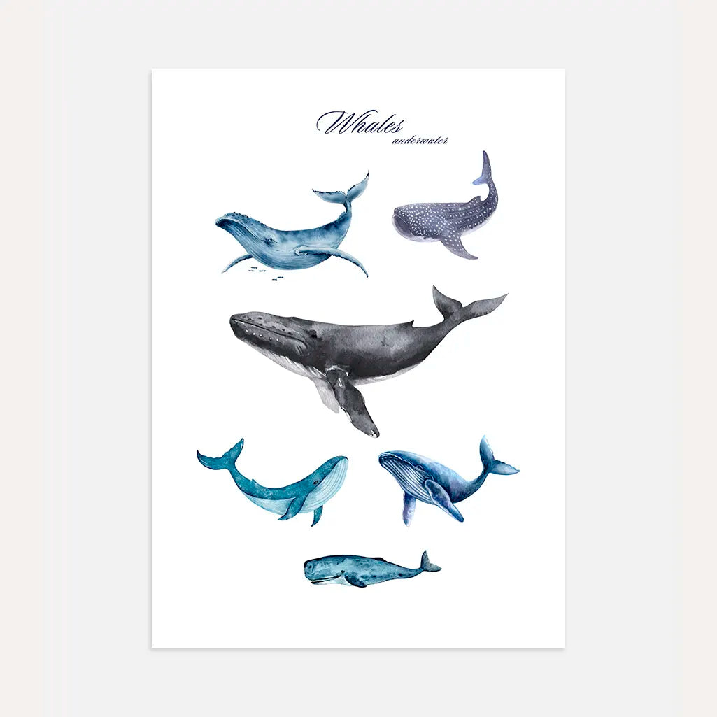 underwater whales poster kids wall art