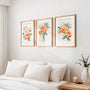 peach botanical poster set wall art for bedroom decor