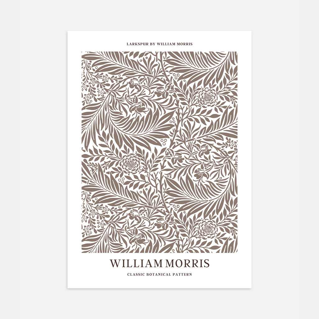 Poster – Rittersporn Botanisch